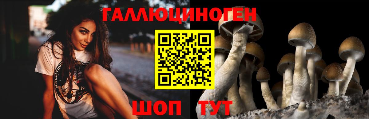 Псилоцибиновые грибы Magic Shrooms Узловая